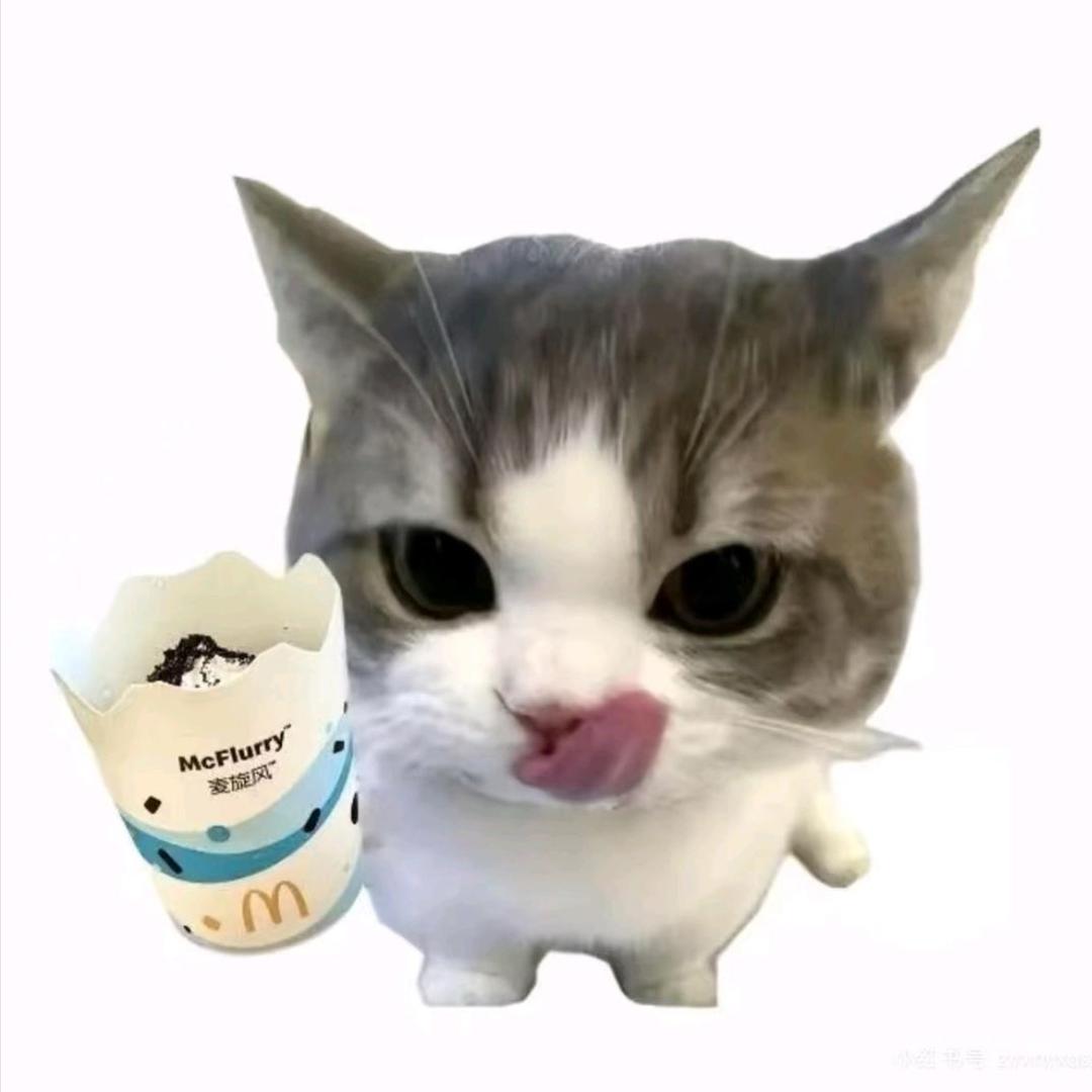 小雅.