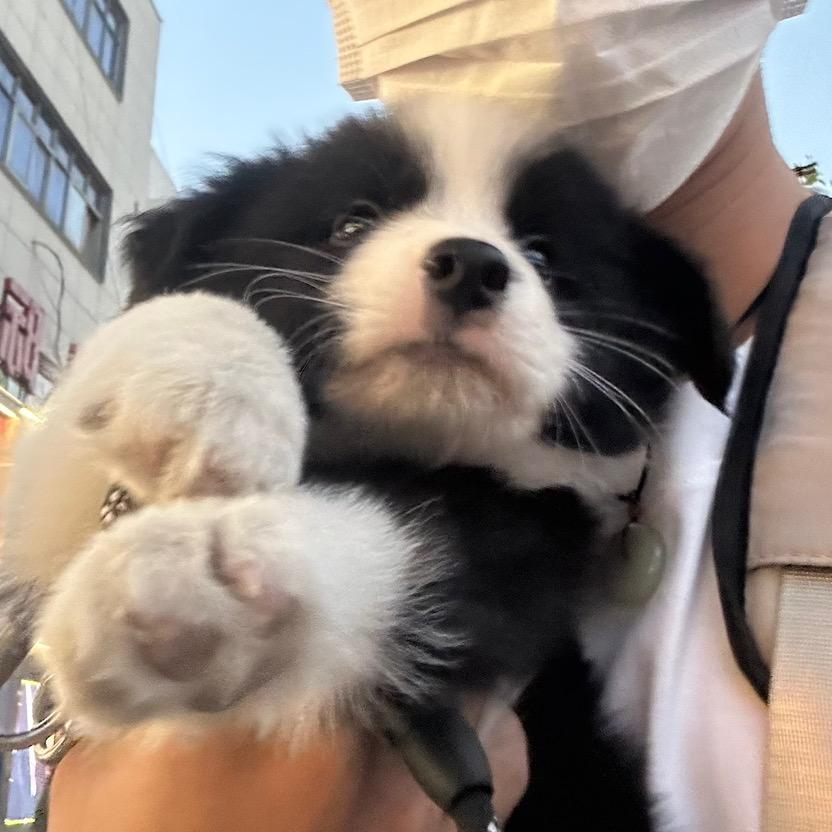 不是小孩