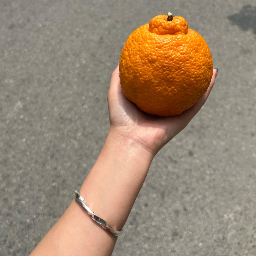 橙子🍊🍊