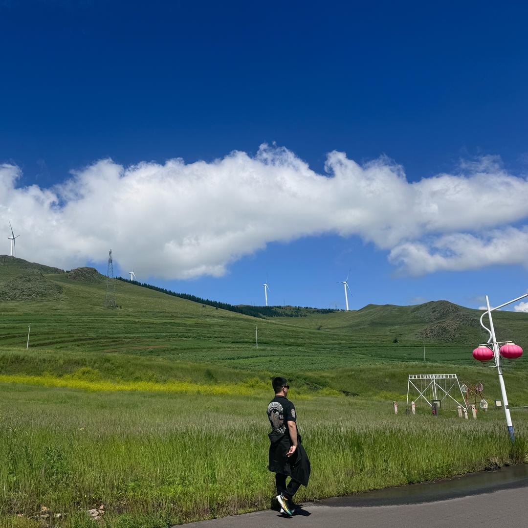 春风若有怜花意