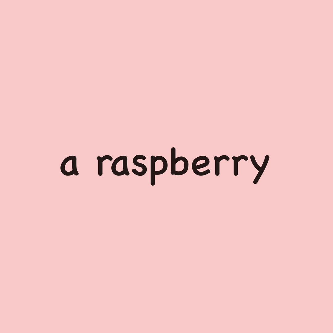 一颗树莓a raspberry 大码女装