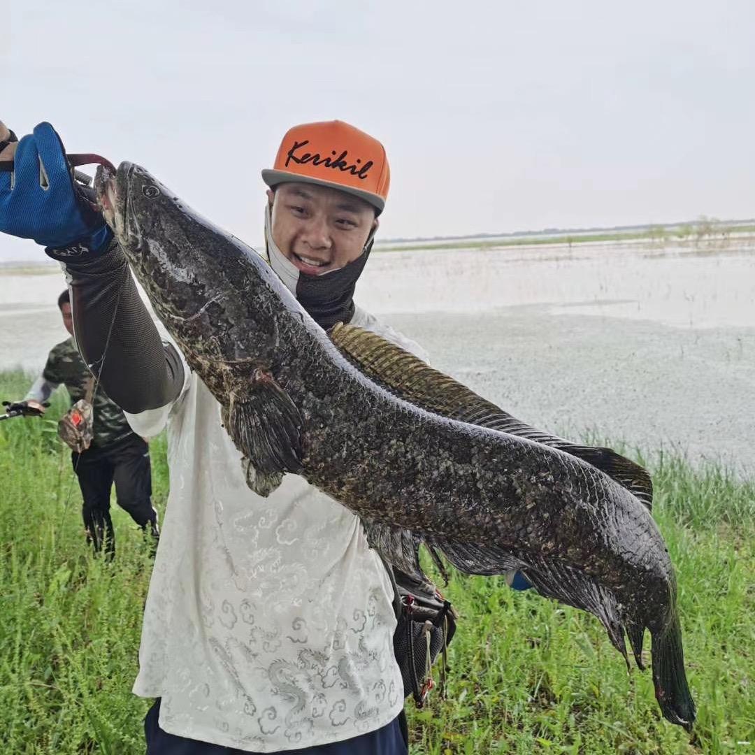 ꧁༺小༒鑫༻꧂