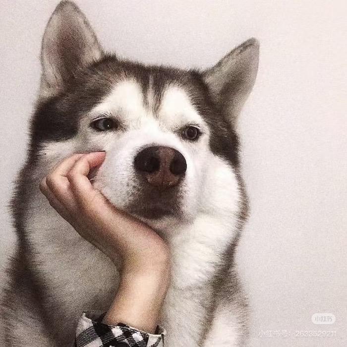 少说废话少说废话