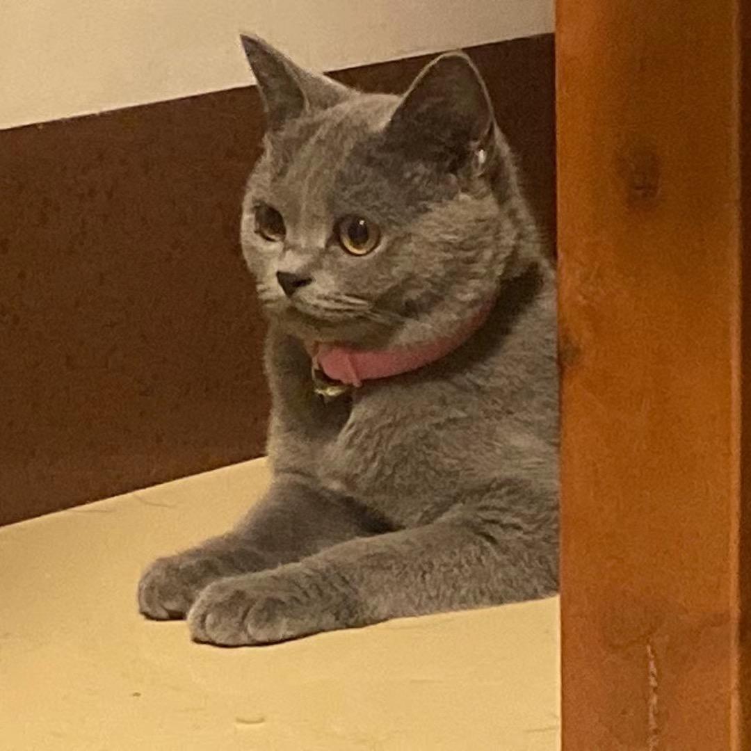 巴斯光年👩‍🚀