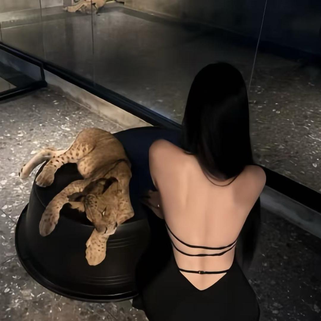 🥥.