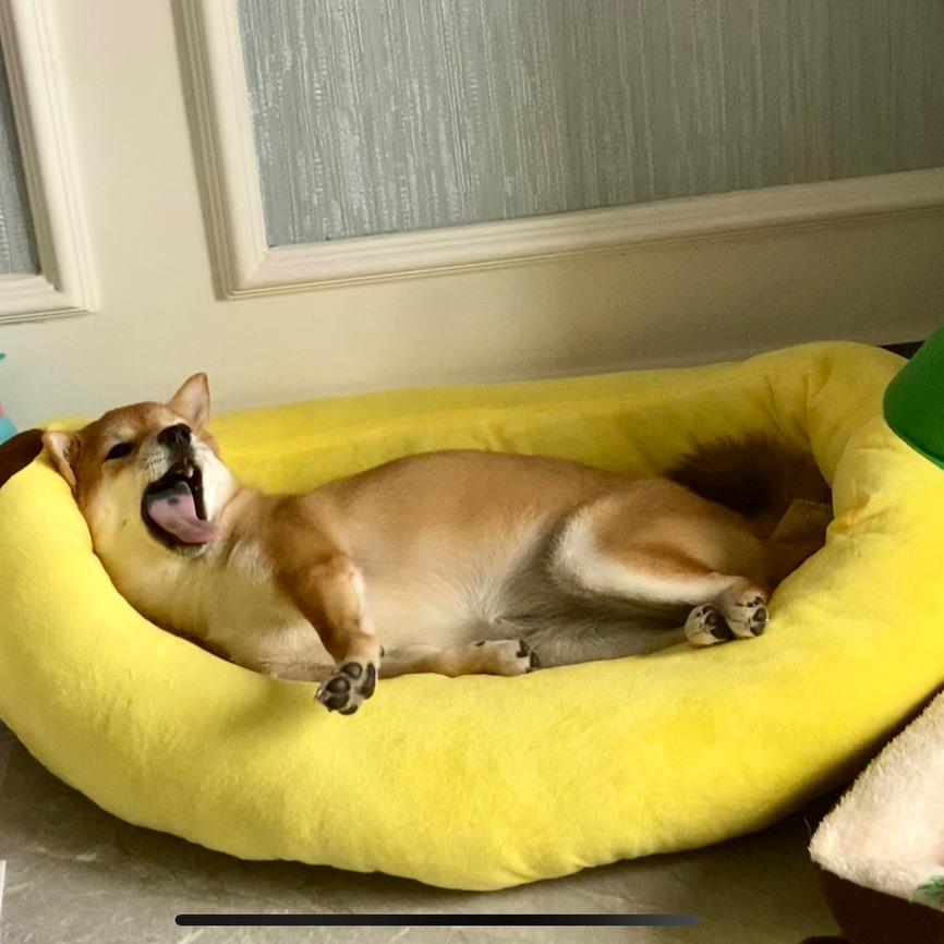 女大学生不想吃饭