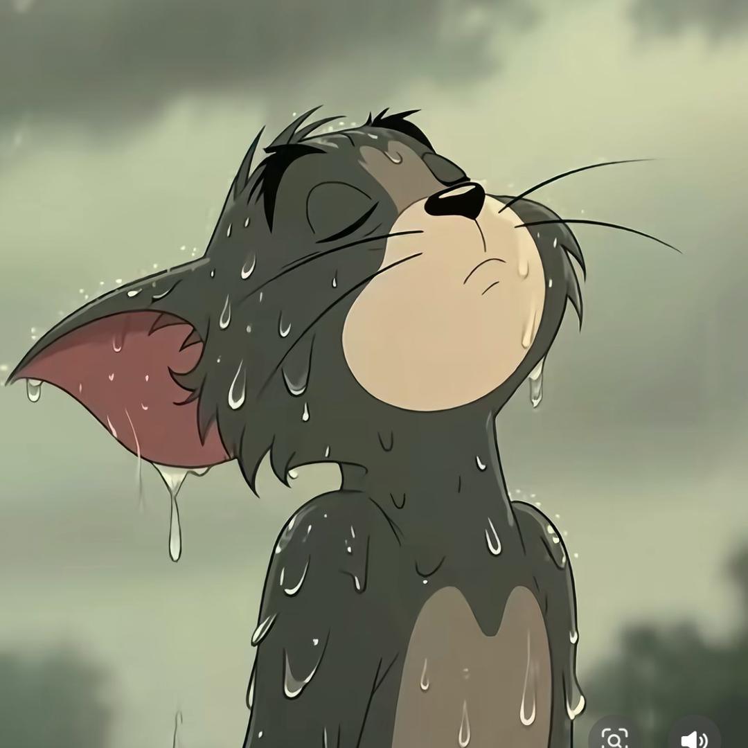 妞😻妞