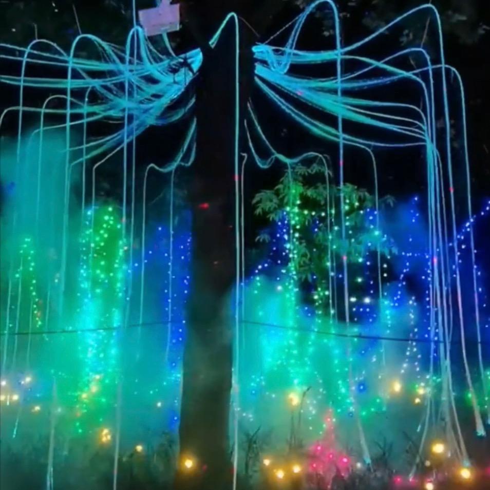 范老师的演出日志