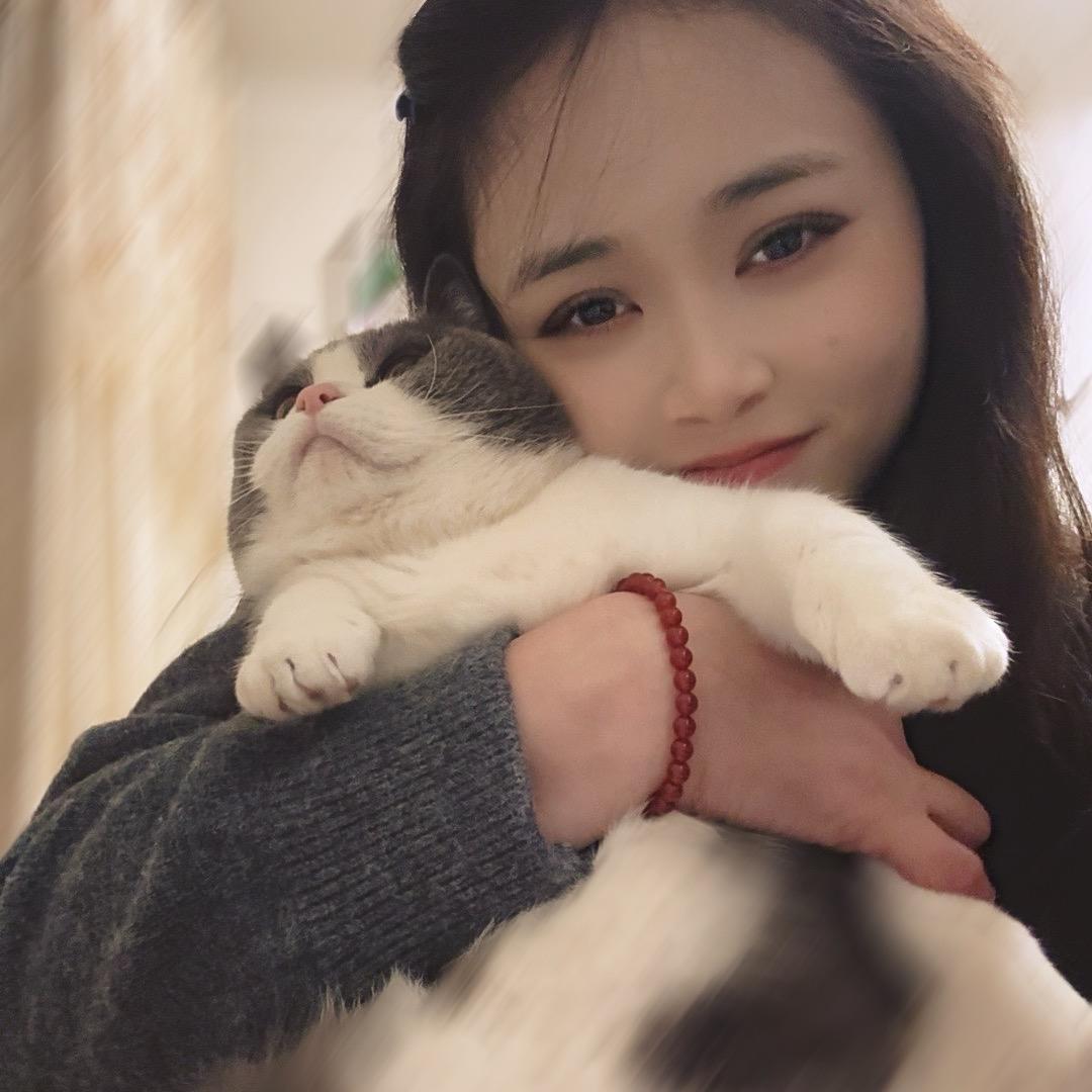 菜狗