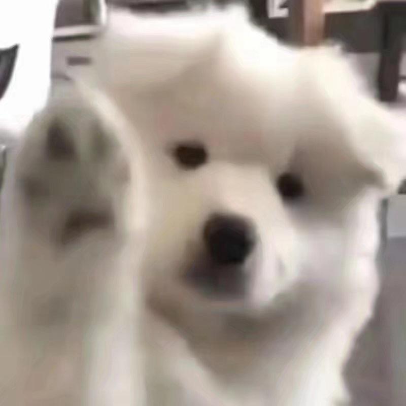 全糖小狗