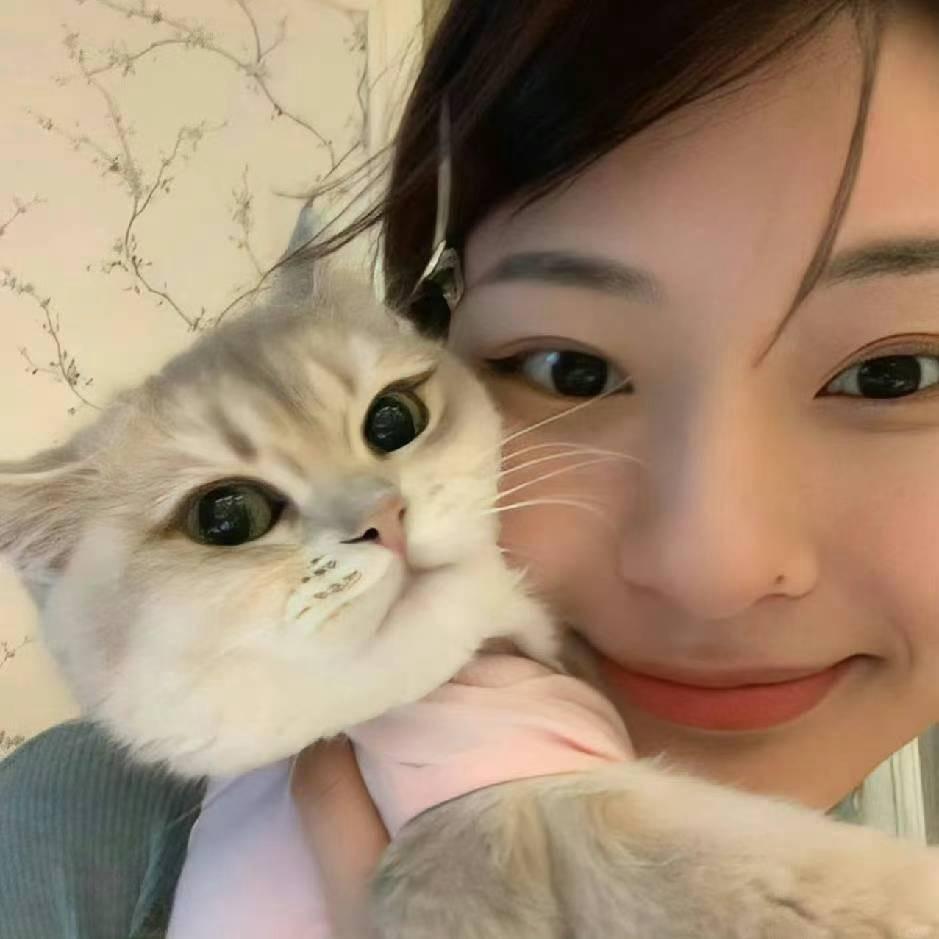 嗷嗷困睡