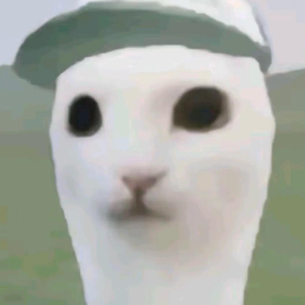 小悦快吃饭