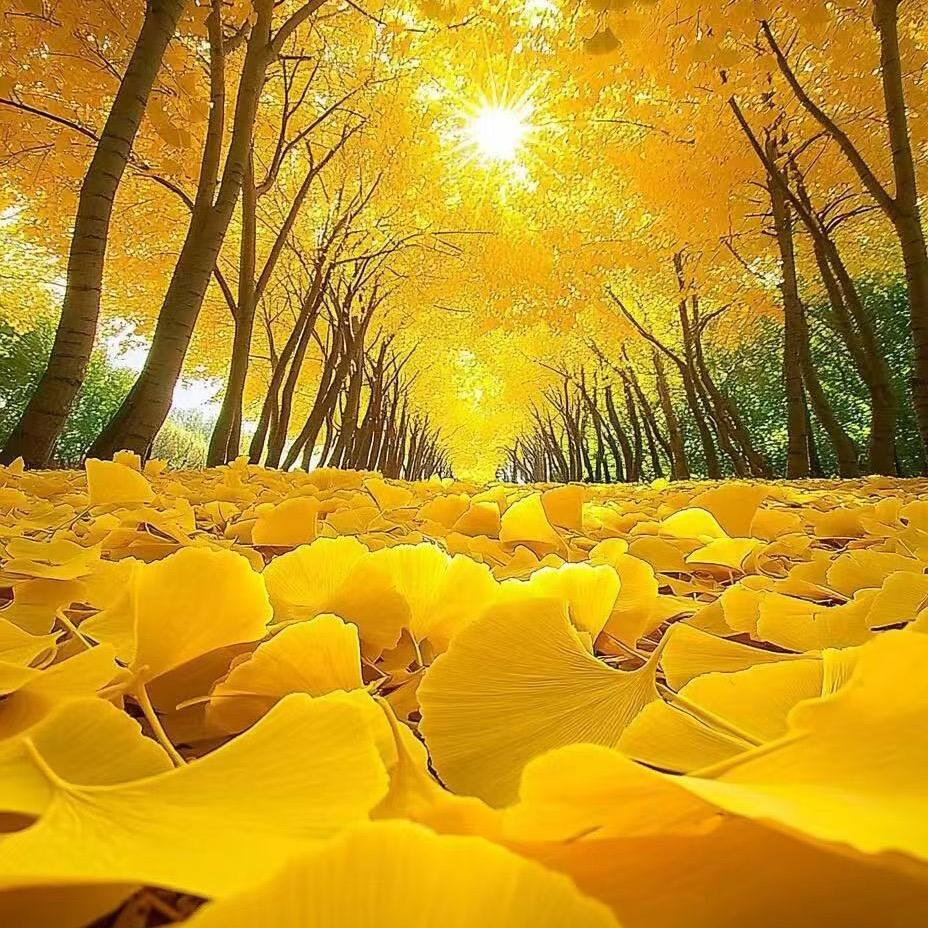 🍎平安喜乐🍎