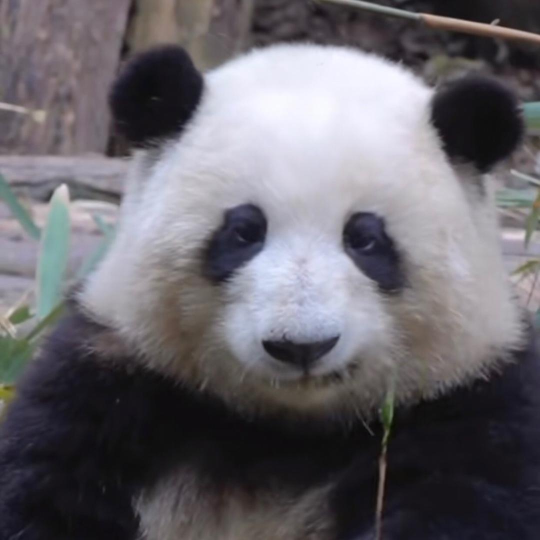 我老公୧😂୨୧😂୨