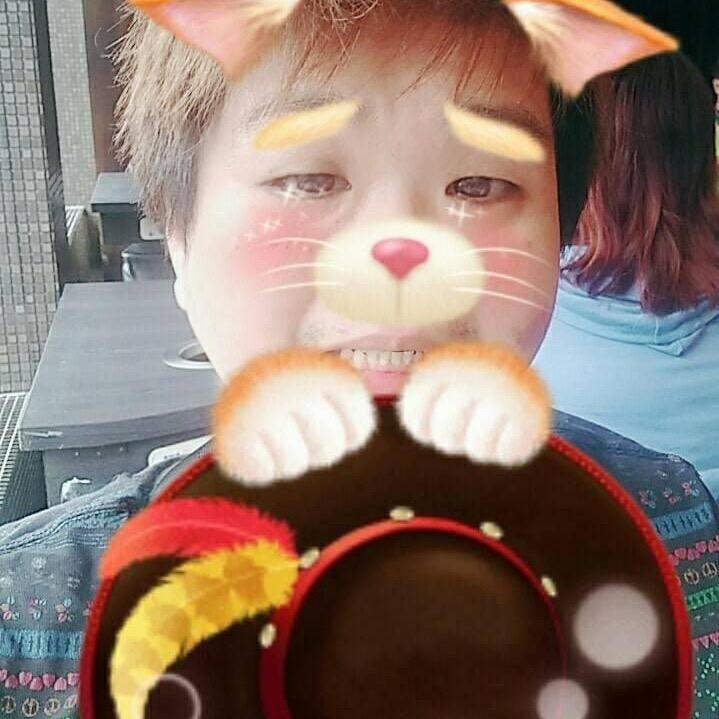 不高冷的呆呆車