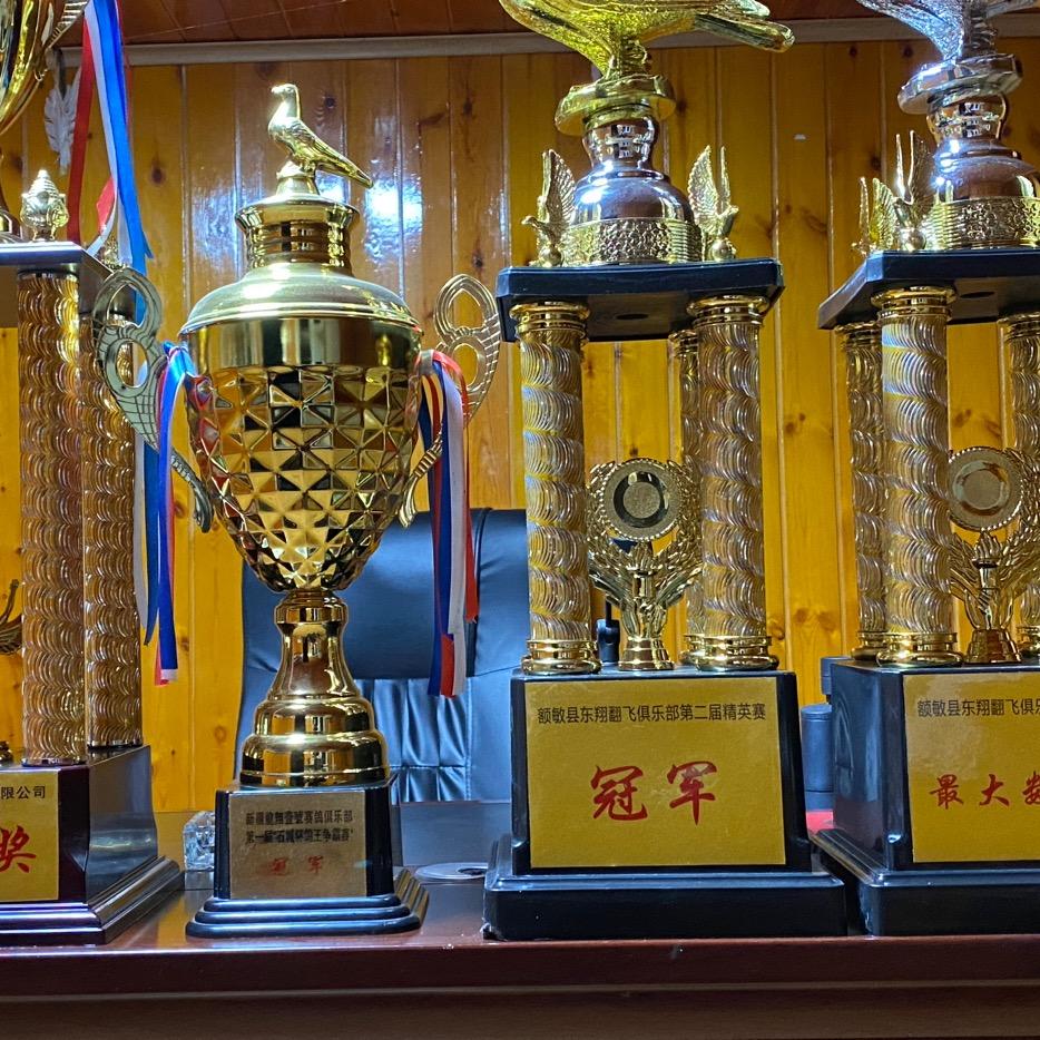 塔城八大块鸽舍