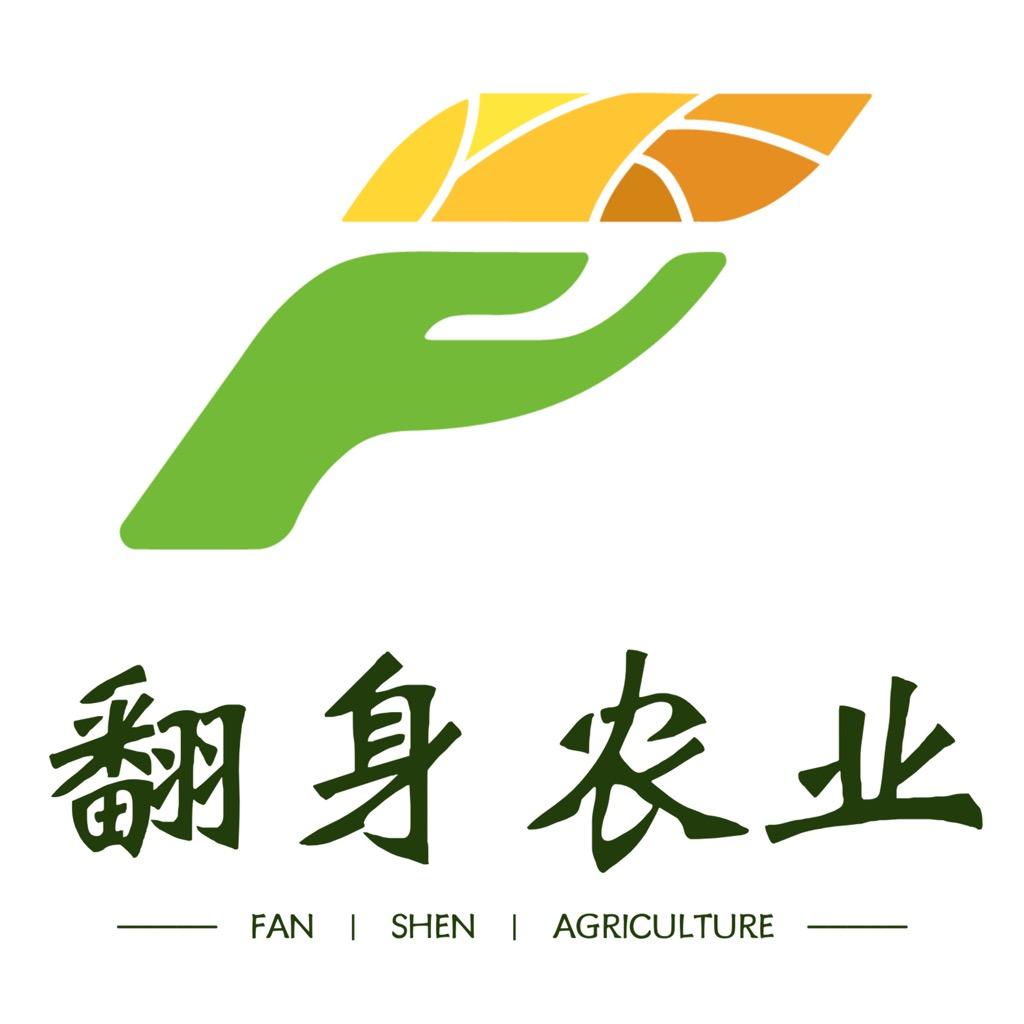 全村的希望翻身农业