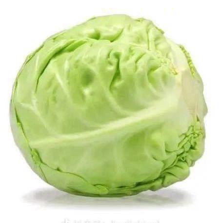 包包菜.