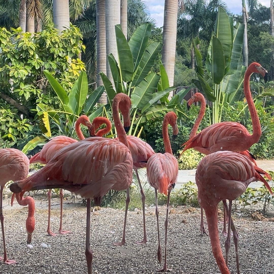 晓晓～分享生活