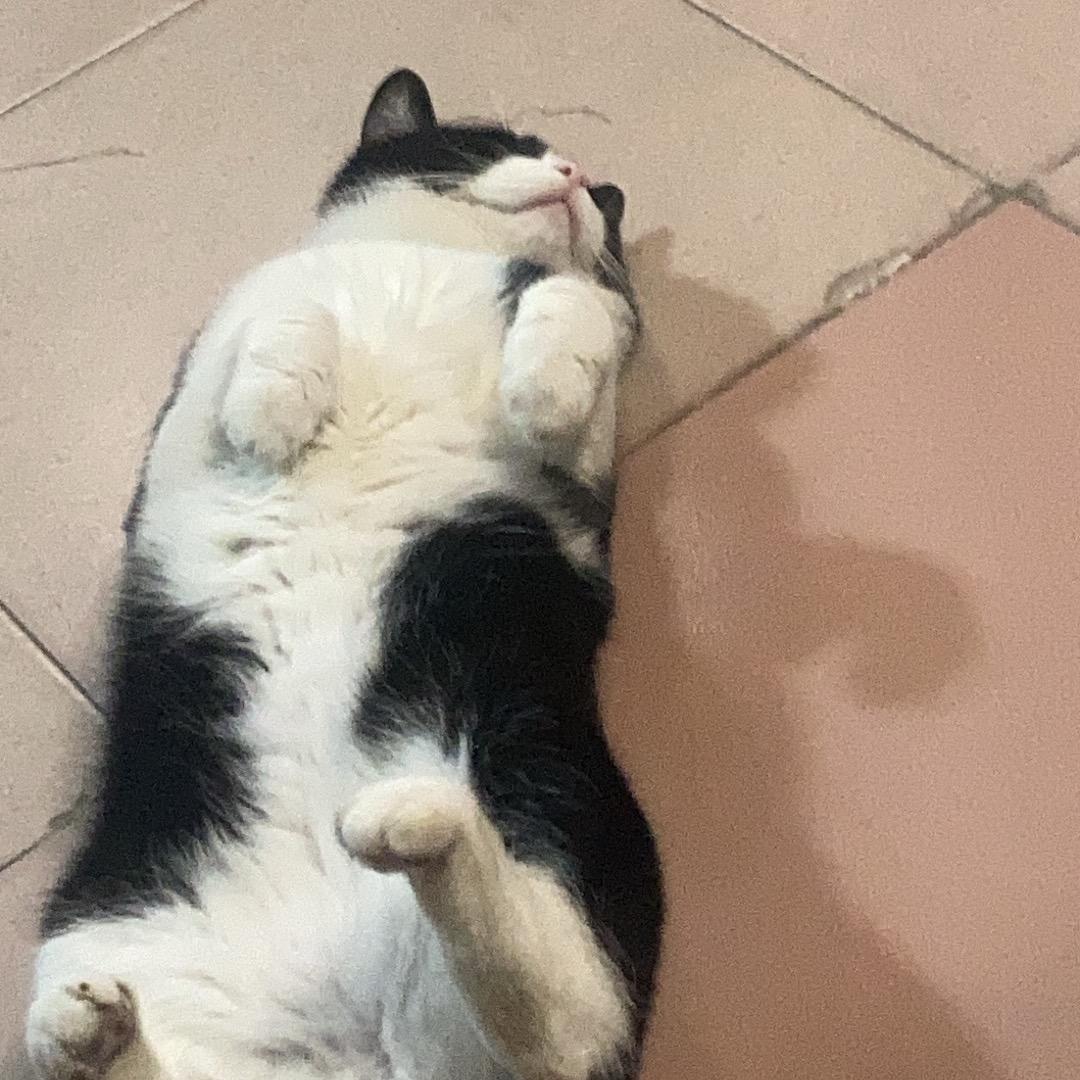 一生守护