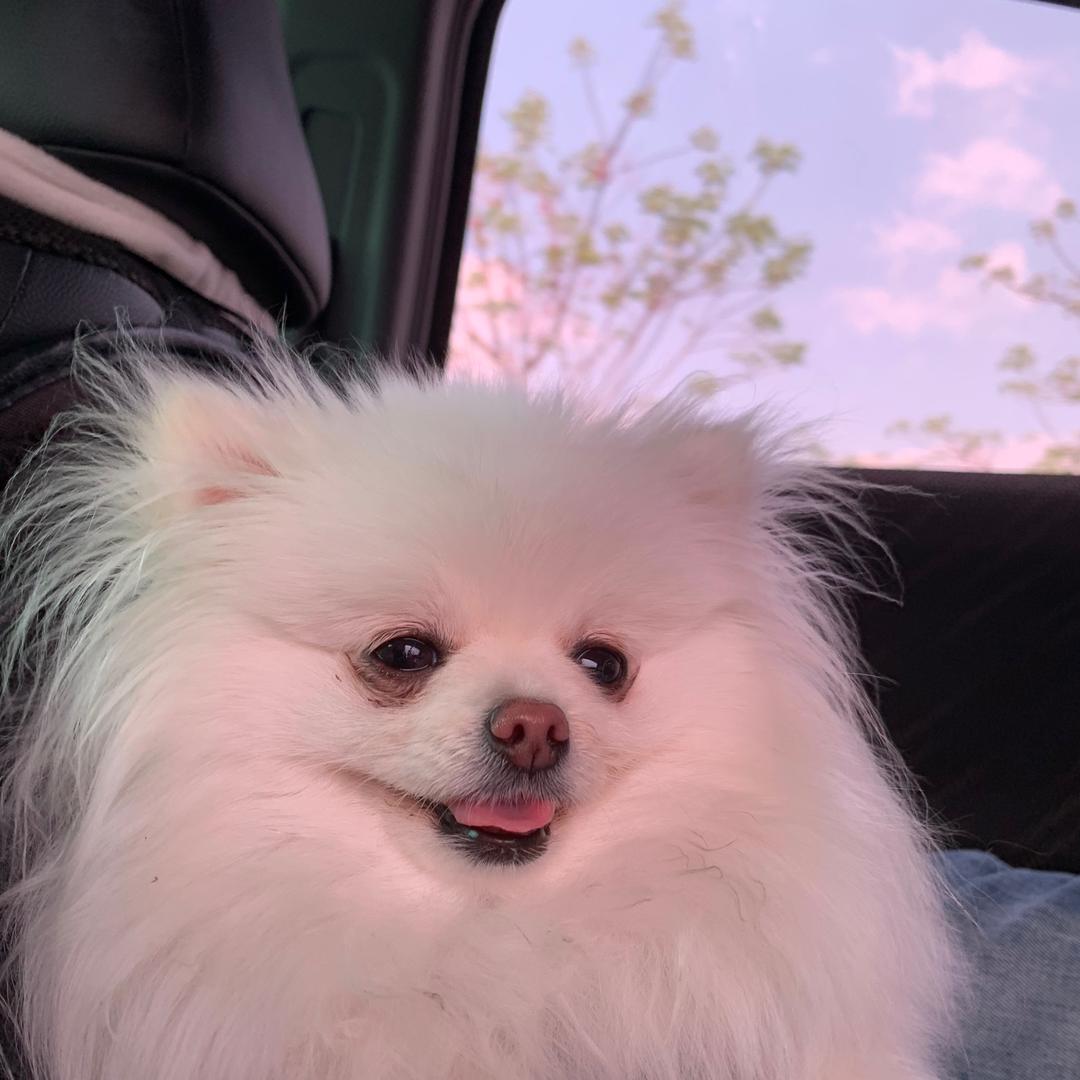 🌈每一天都减肥