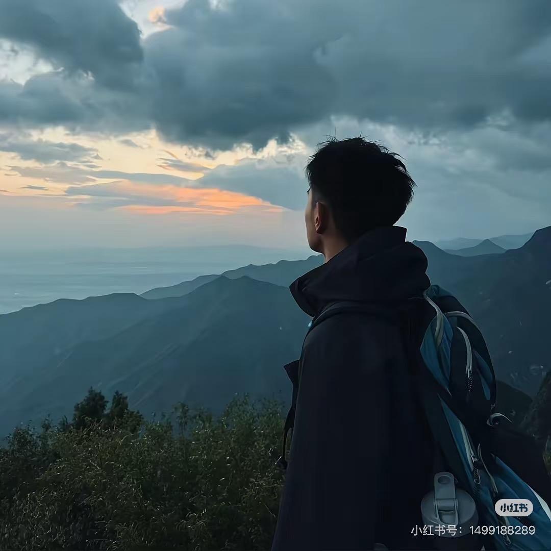 WD的探房日记