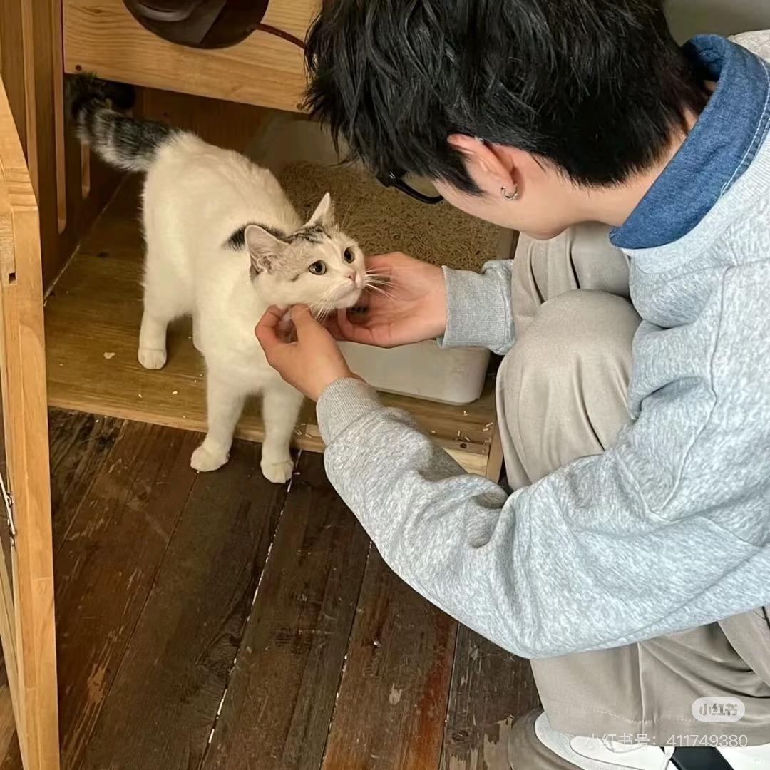 裴秀智o