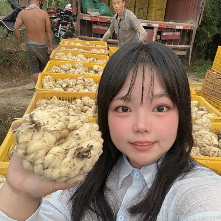 种地吧小艺