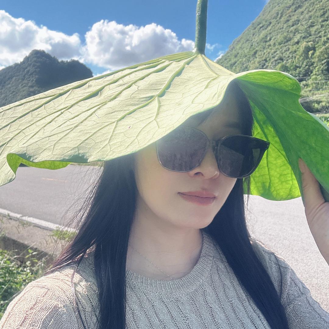 燕子在路上