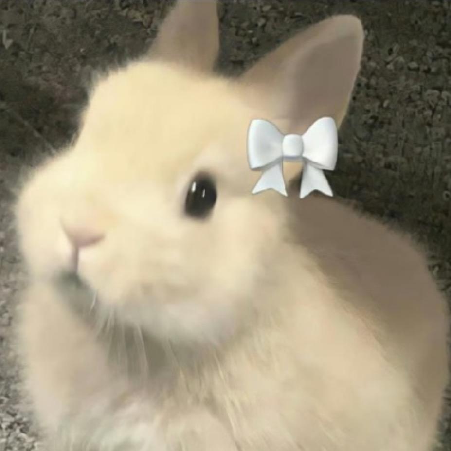 饭晕晕DIY潮玩