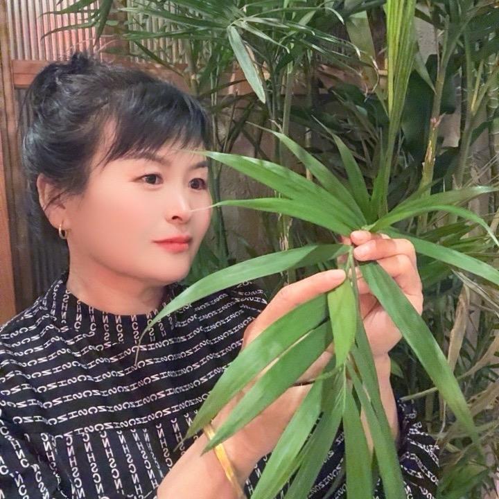 萍姐（首播）