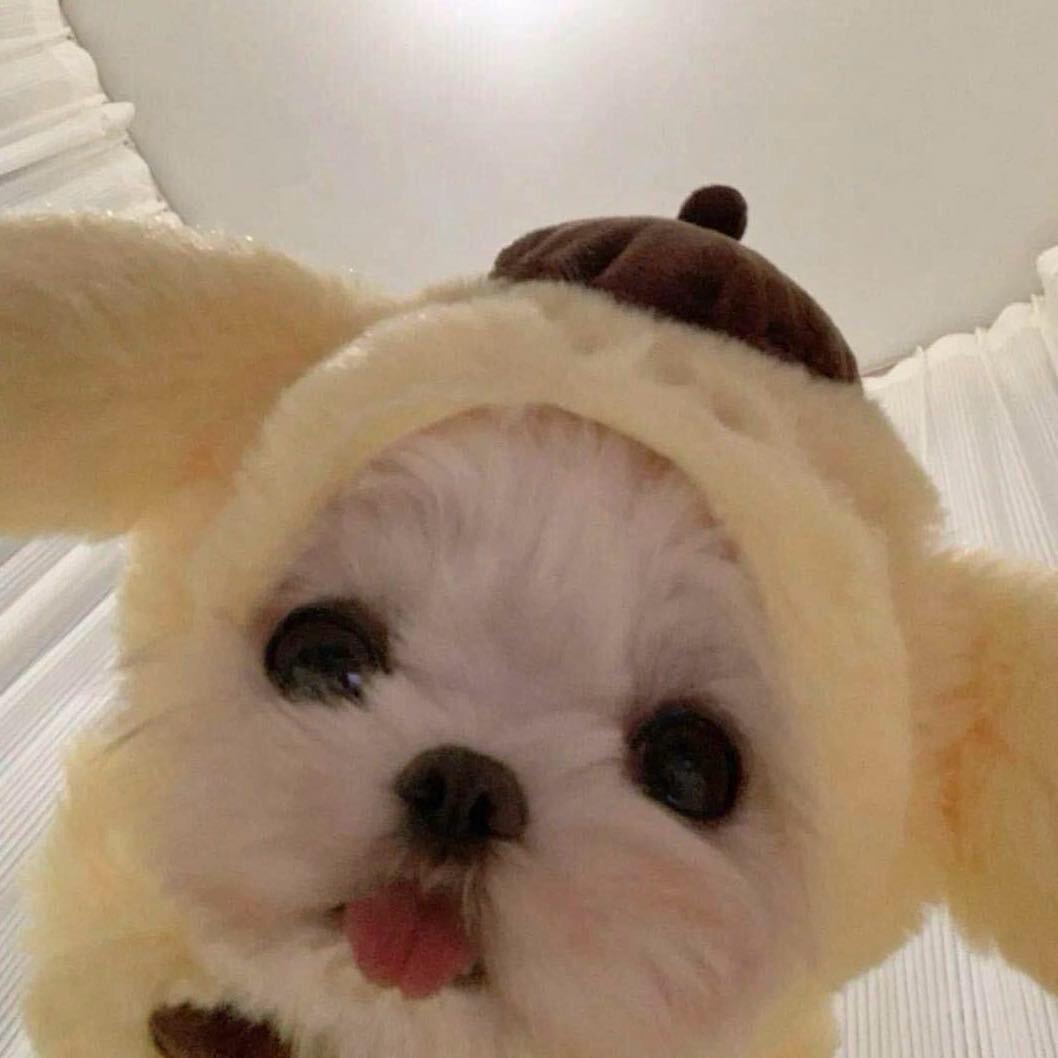 fuu