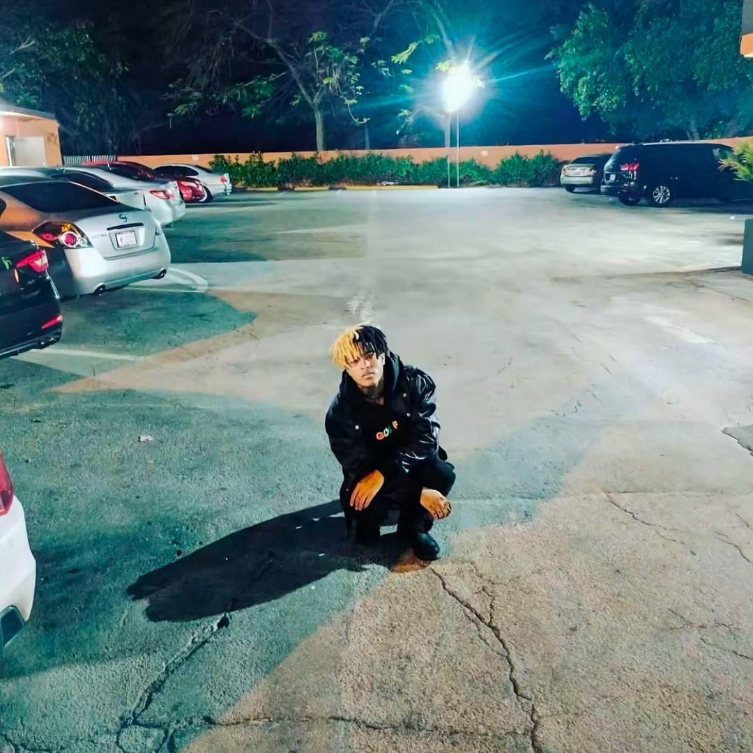 东京欠我一场雪.