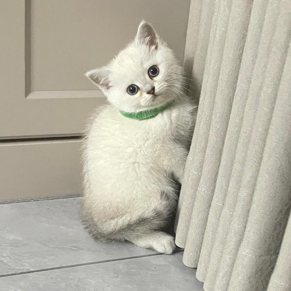 开心果不是果🌈