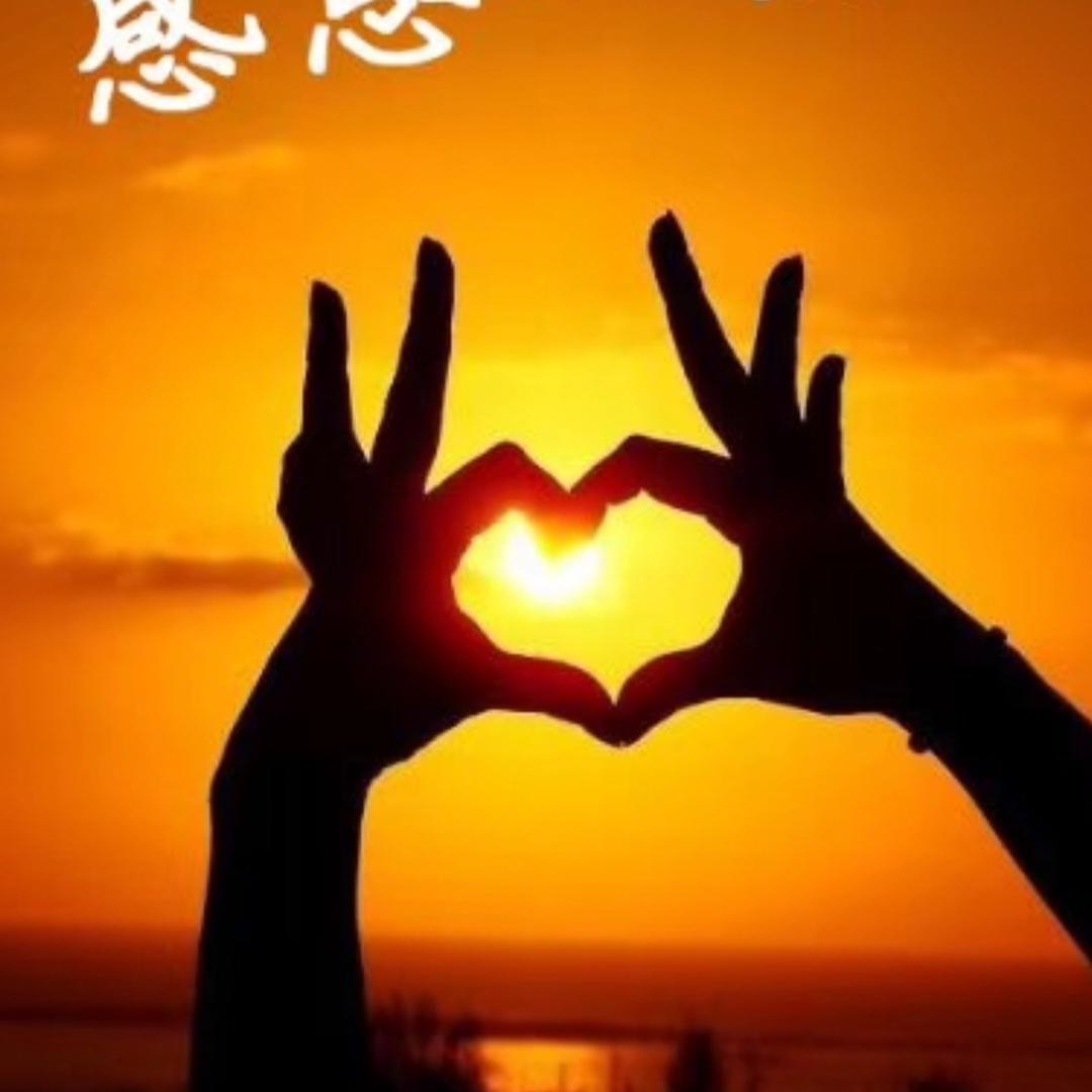 朝
