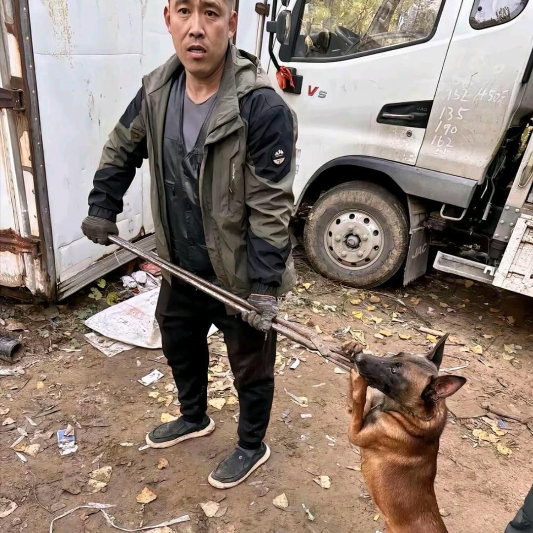 AAA—专业套狗张师傅