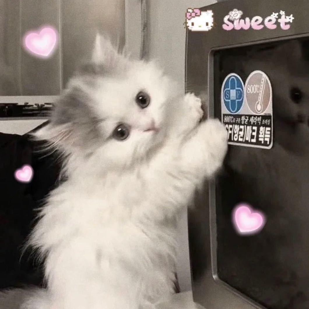 倩
