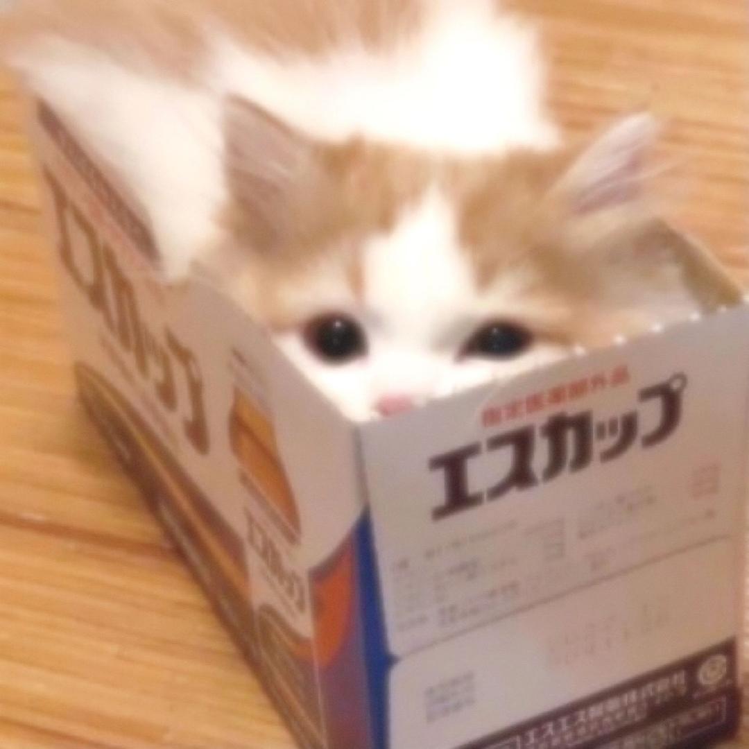 再逼次没有用的就滚