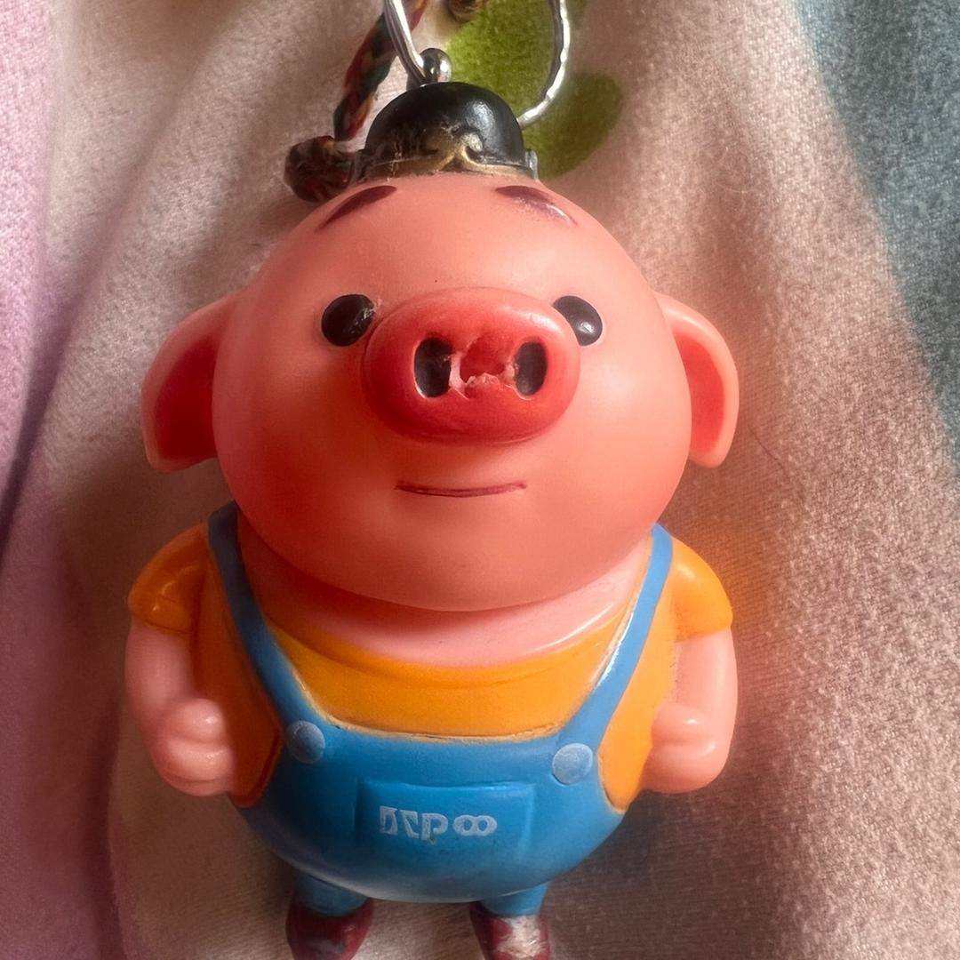 小猪猪🐷