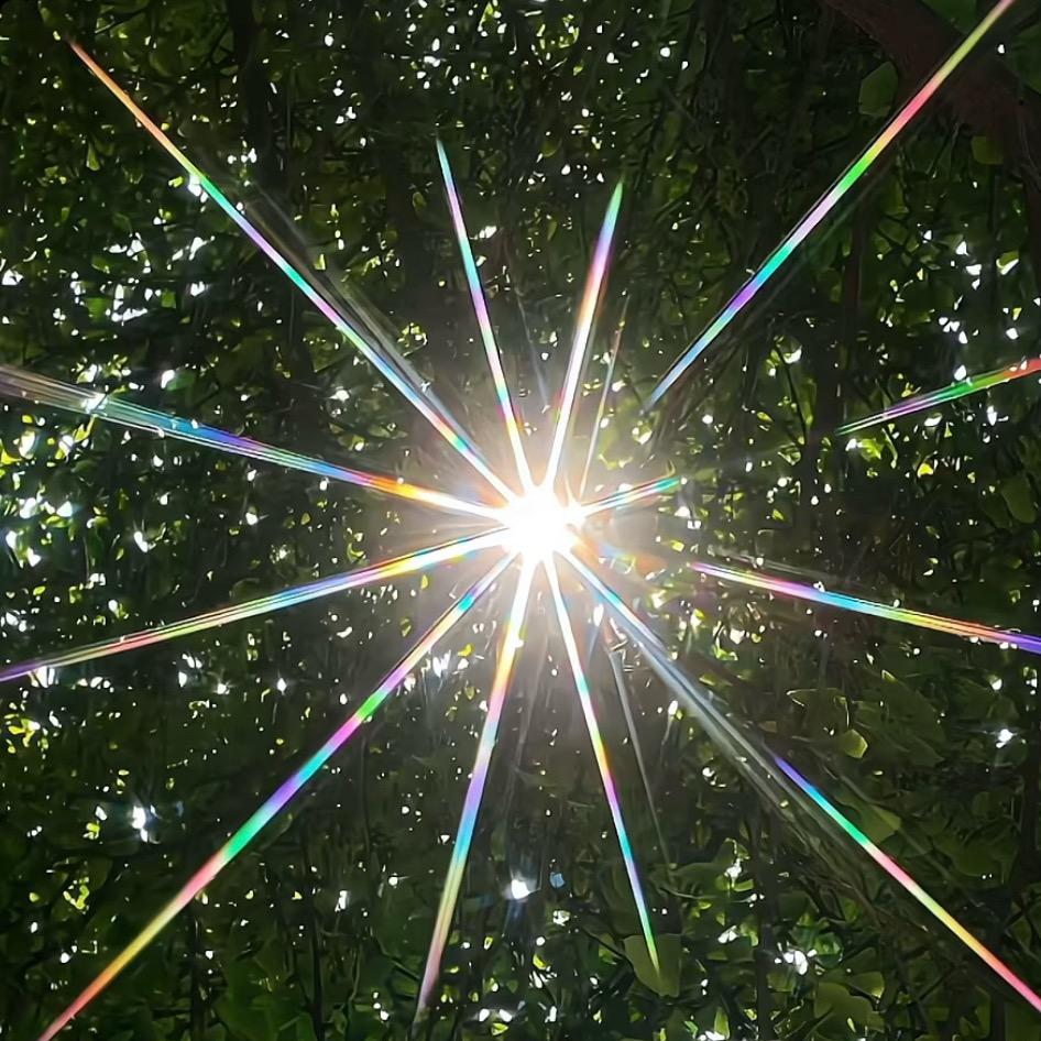 🌱芽儿🌱