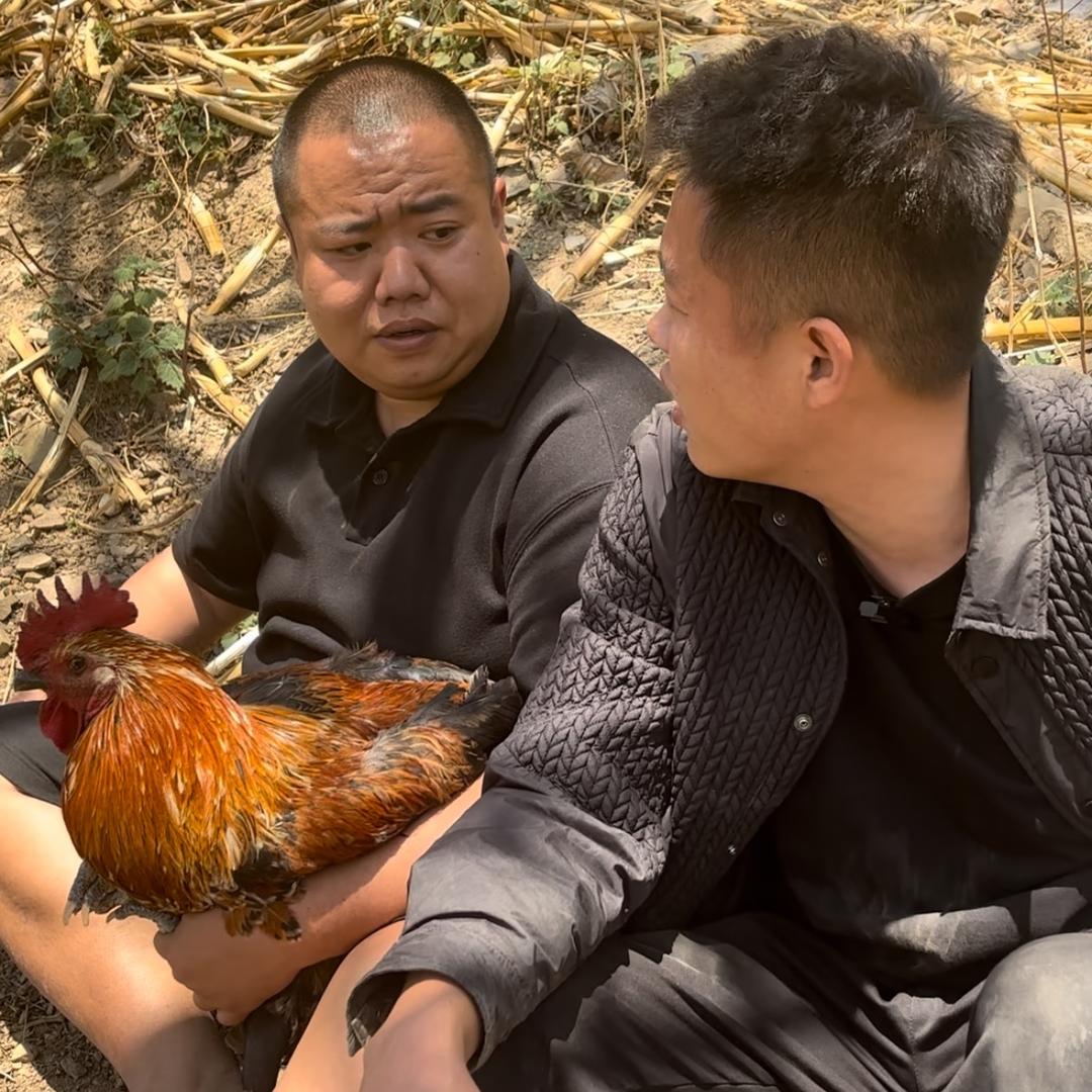 凉山小黑炭