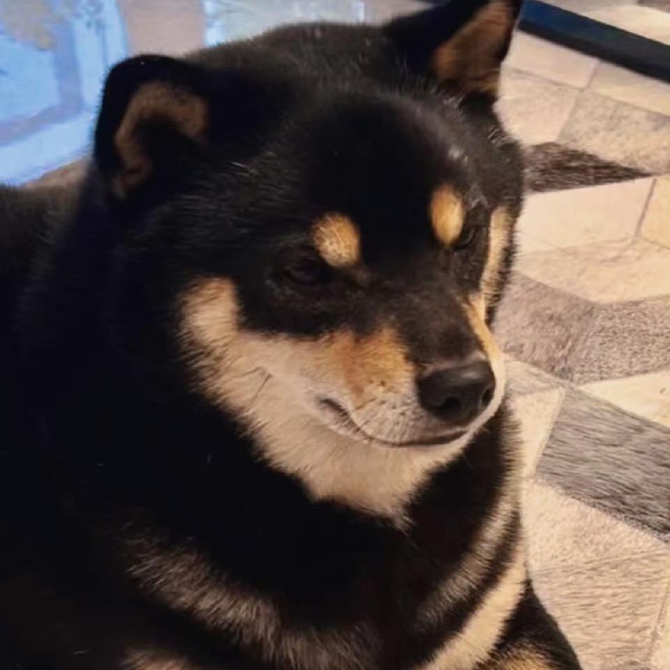 今天又是幸福的一天