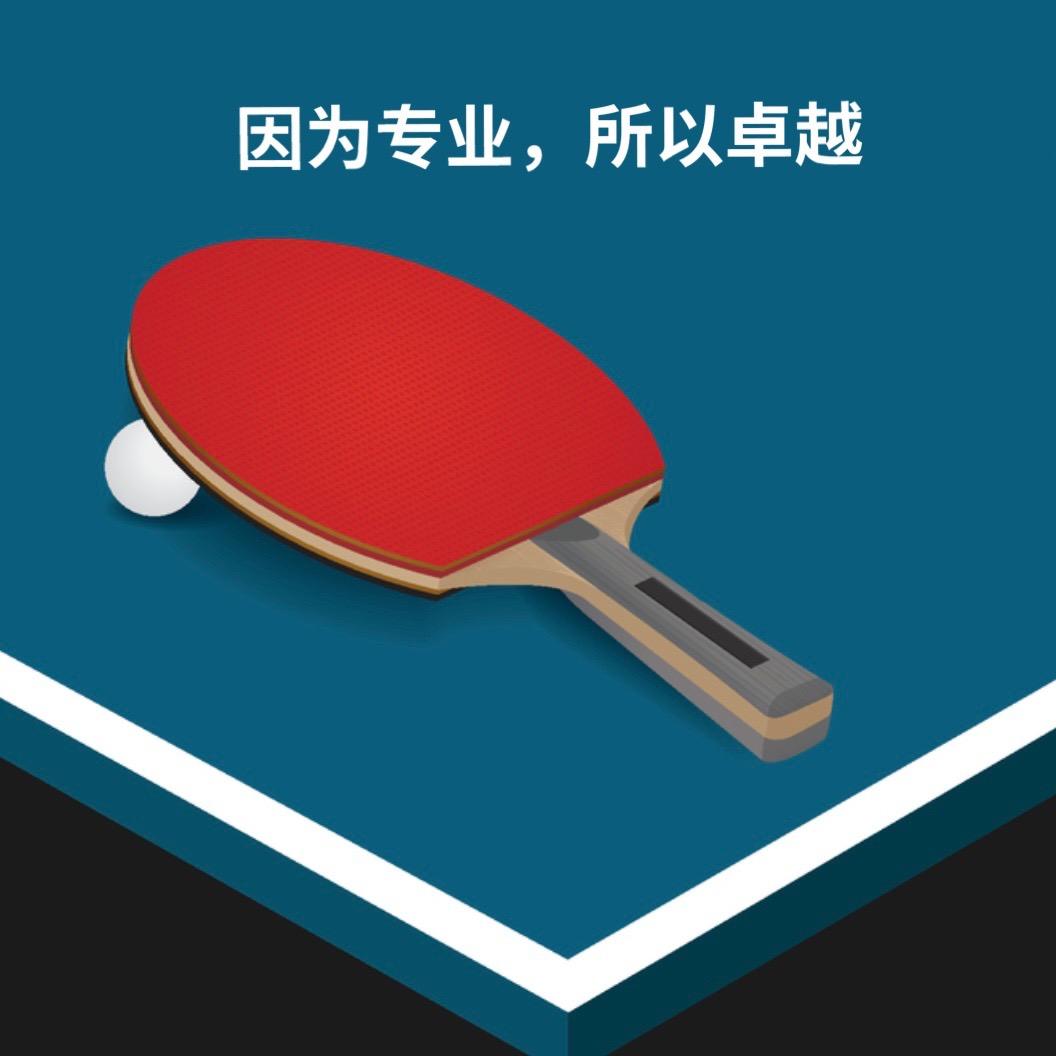 旋转乒乓