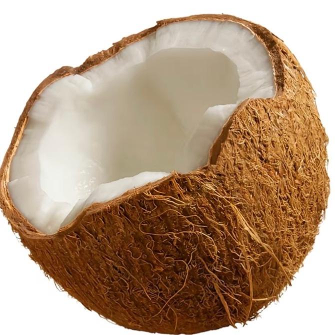 椰椰🥥