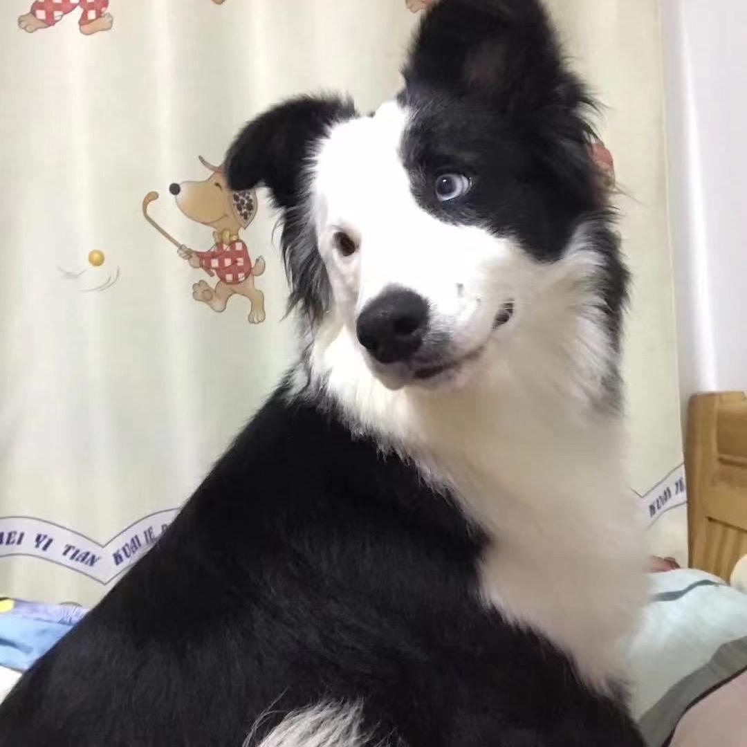 健康快乐