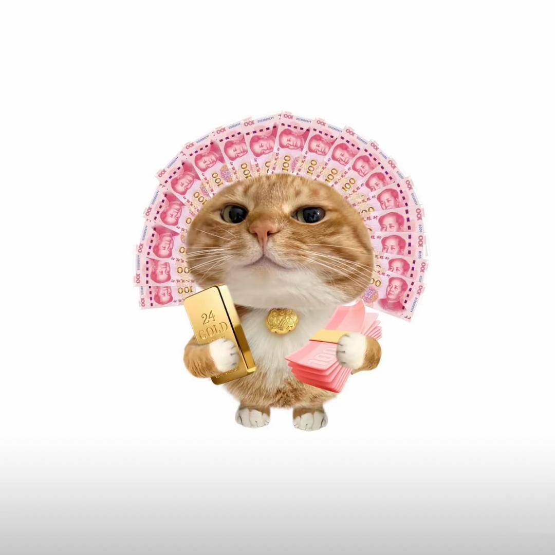 一碗猫