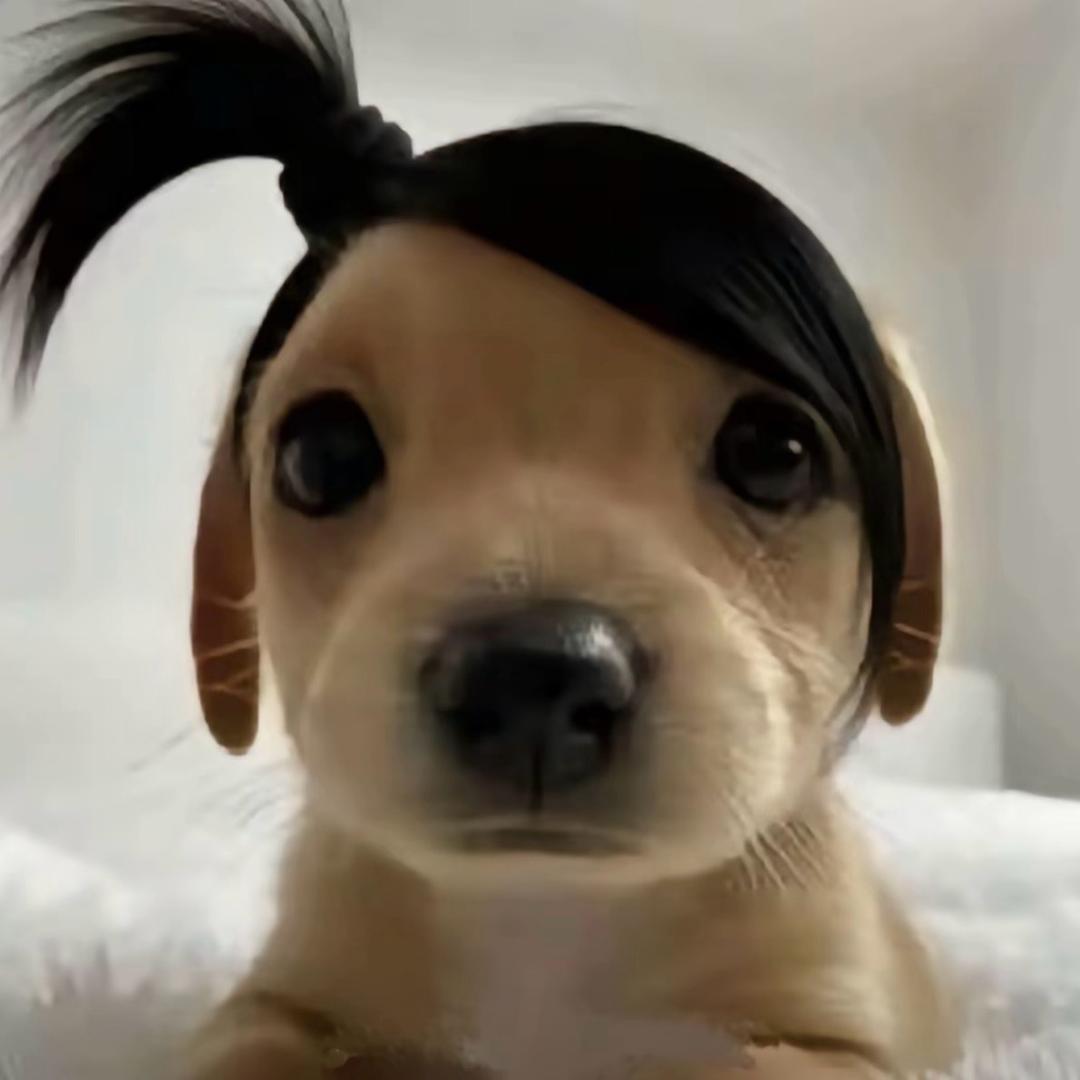 一口小橘子