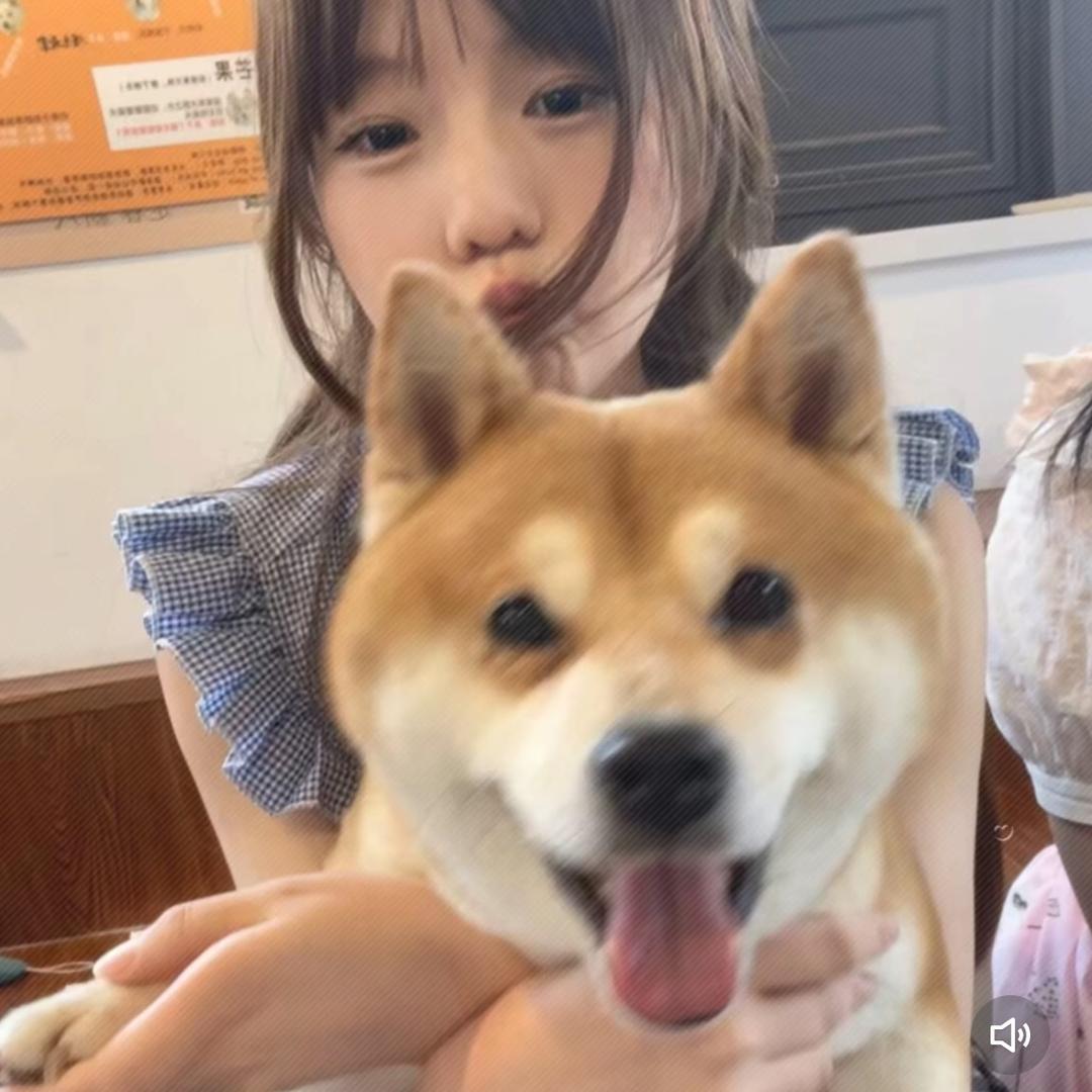 ·唱片
