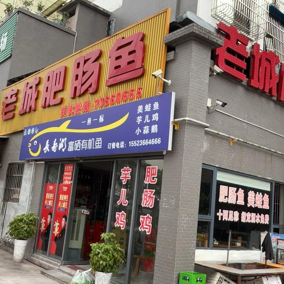 陶泽明专业做老火锅:美蛙肥肠鱼，（收学员