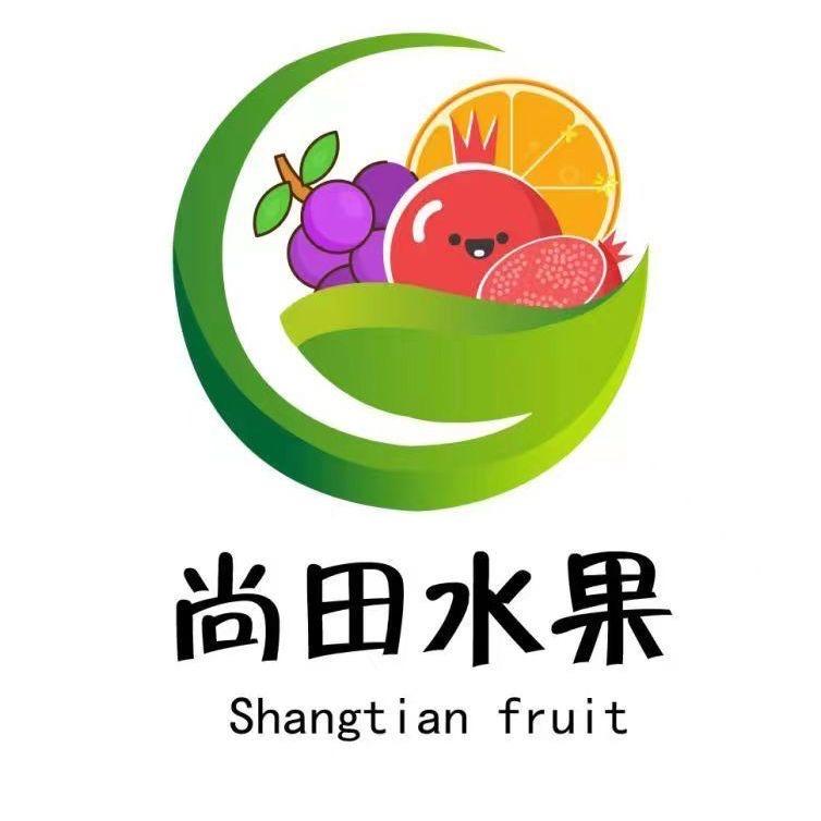 尚田鲜礼